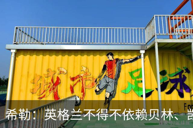 希勒：英格兰不得不依赖贝林、凯恩和安德森的才华来赢球
